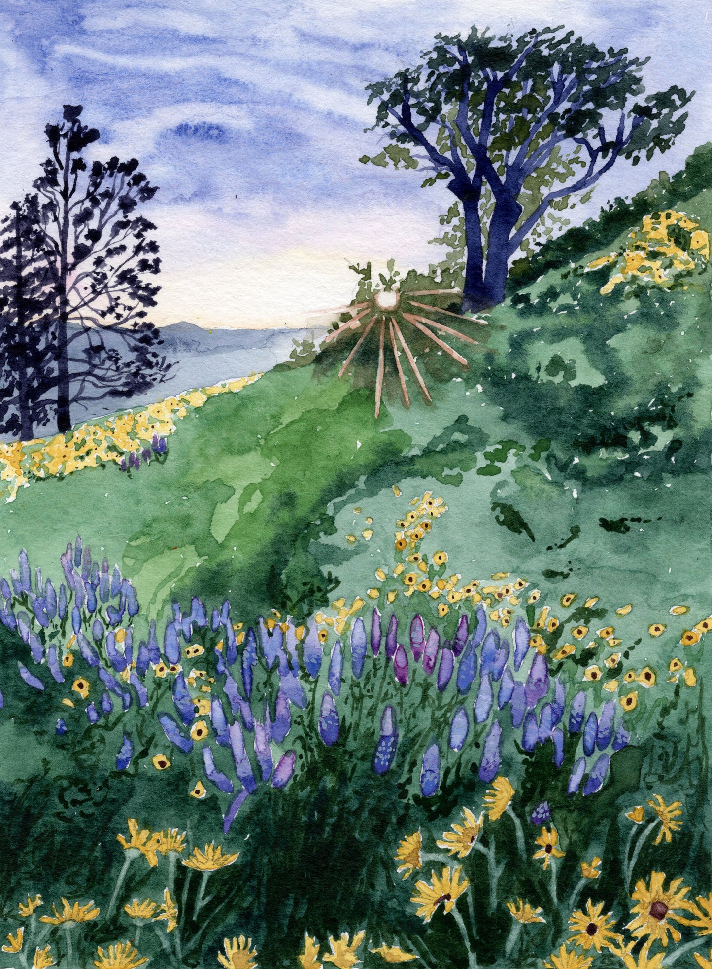 Lupines Framed