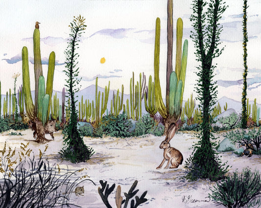 Desert Dwellers