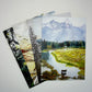 Sunbaked Marmalade Card Set