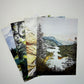 Sunbaked Marmalade Card Set