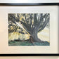 Let the Tree Speak Framed