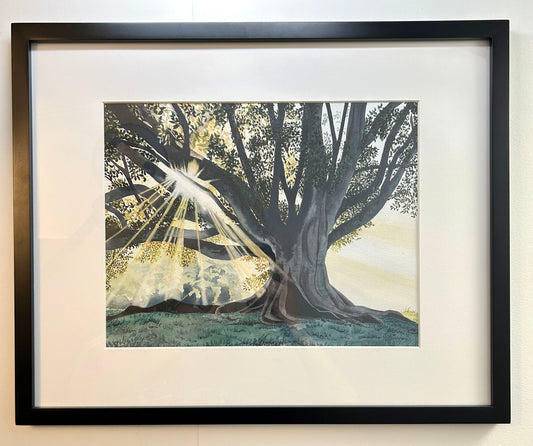 Let the Tree Speak Framed