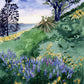 Lupines Framed