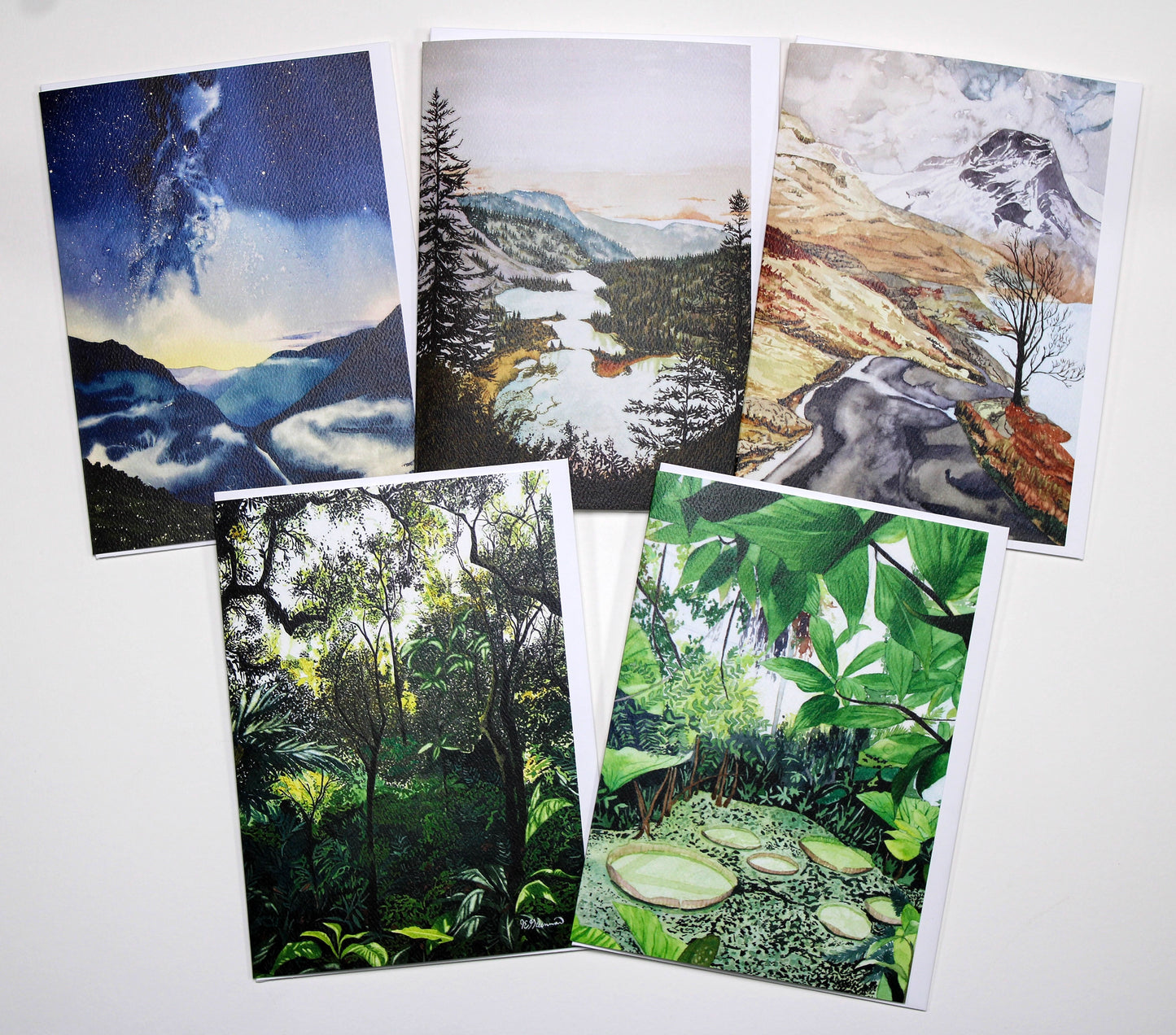 Wilderness Card Collection